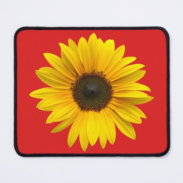 Item preview, Sunflower 5 designed and sold by quentinjlang.