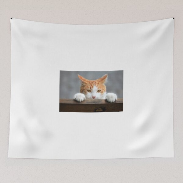 Item preview, gato rojo en el banco designed and sold by olena2552.