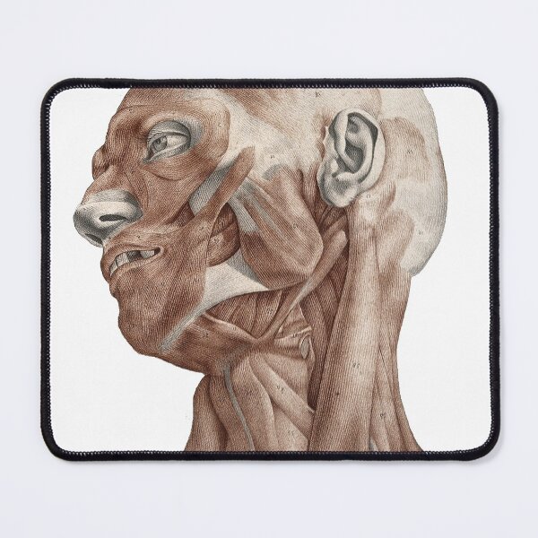 Item preview, RAT KANGAROO EP02 designed and sold by Andrew Garton.