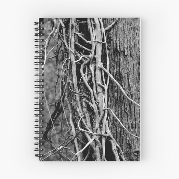 Item preview, Bush Drought designed and sold by Andrew Garton.
