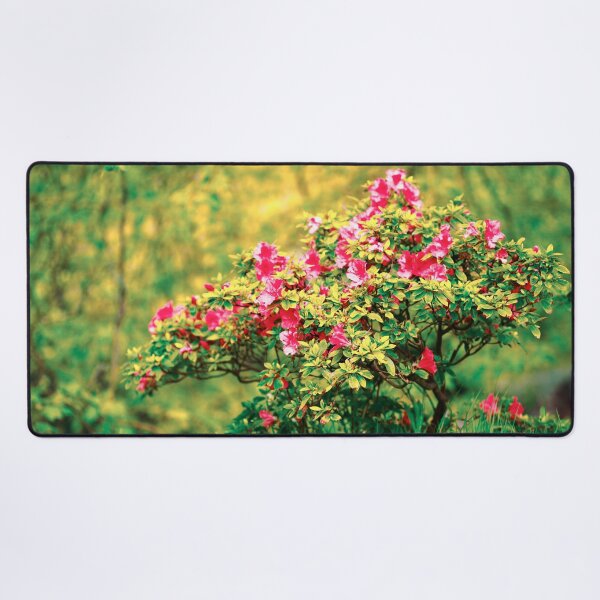 Item preview, Azalea blooming designed and sold by Gaspar Avila.