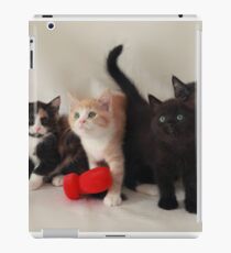 fluffy kittens iPad Case/Skin