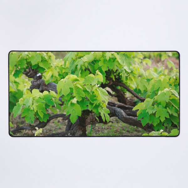 Item preview, Grape vines designed and sold by Gaspar Avila.