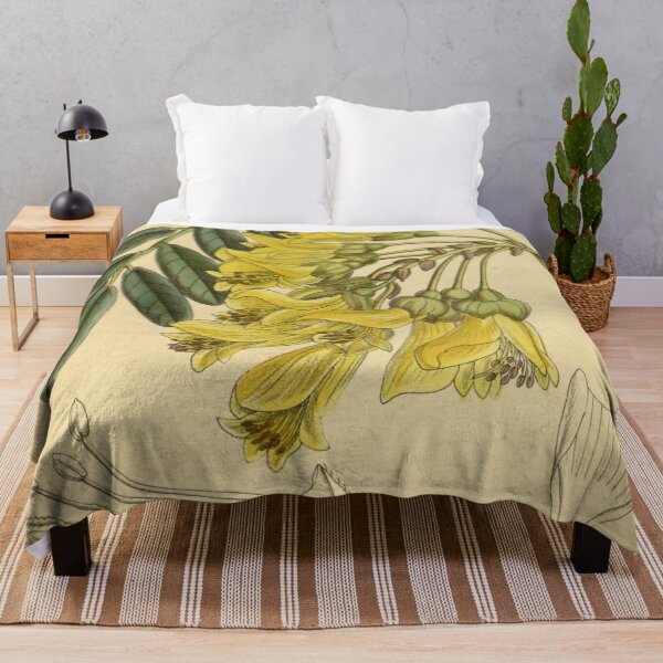 Item preview, Sophora macrocarpa 142 8647 designed and sold by EsotericBotanic.