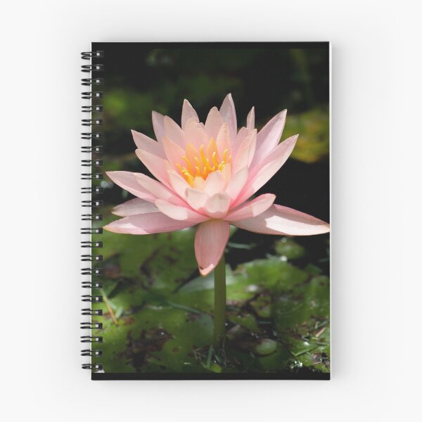 Item preview, Water Lily designed and sold by photoduque.