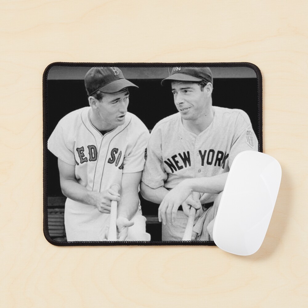 Joe DiMaggio and Ted Williams  Essential T-Shirt for Sale by gerdensober