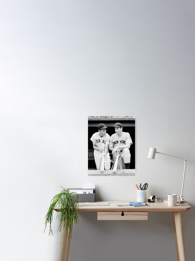 Joe DiMaggio and Ted Williams  Essential T-Shirt for Sale by gerdensober