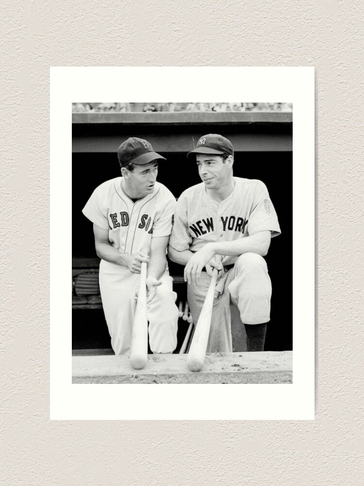 Ted Williams Art Prints