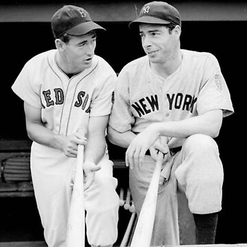 Joe DiMaggio and Ted Williams  Essential T-Shirt for Sale by gerdensober