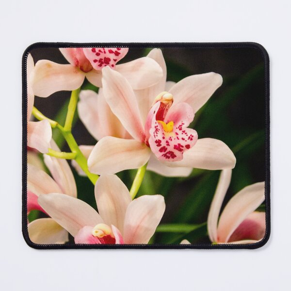Item preview, Pink orchids blossoming at a flower show designed and sold by Michael Deemer.