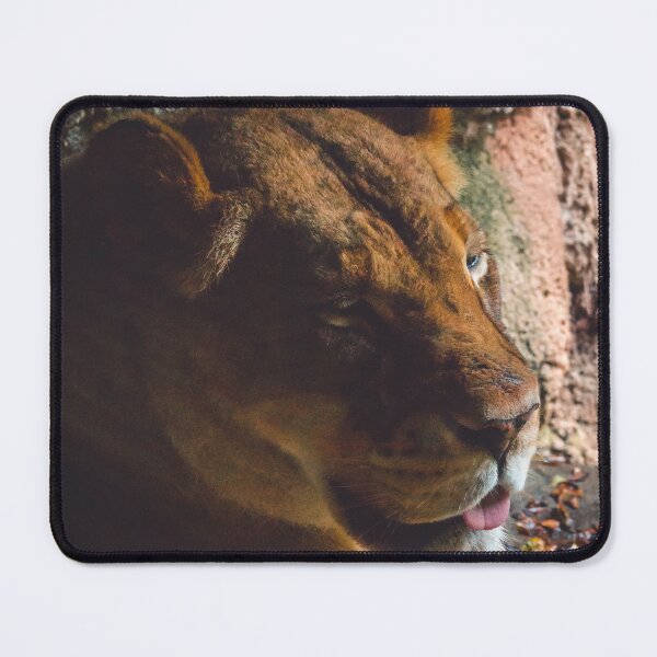 Item preview, Lioness resting in the shade designed and sold by Michael Deemer.