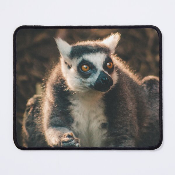 Item preview, Ring Tailed Lemur grabbing lunch designed and sold by Michael Deemer.