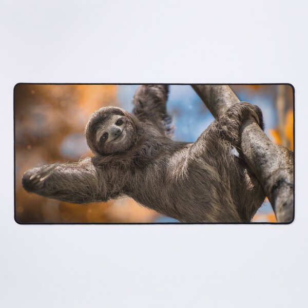 Item preview, Happy Sloth in Costa Rica designed and sold by Maddie4Real.