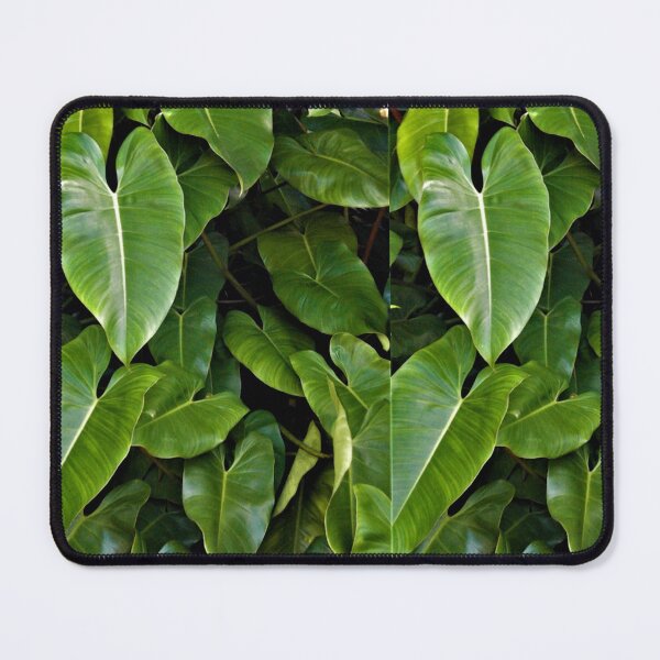 Item preview, Green heart leaf designed and sold by Miss Sparkle.