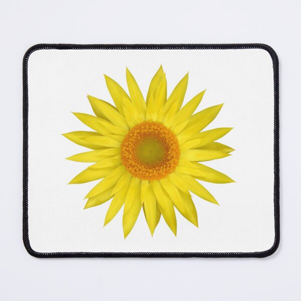 Item preview, Everlasting Daisy or Strawflower designed and sold by quentinjlang.