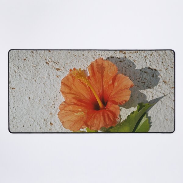 Item preview, Orange hibiscus flower against a white wall in the midday sun designed and sold by Ninaeva.