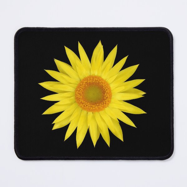 Item preview, Everlasting Daisy or Strawflower 3 designed and sold by quentinjlang.