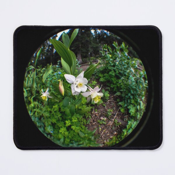 Item preview, Fisheye Wonderland designed and sold by MissJades.