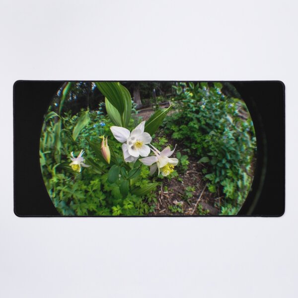 Item preview, Fisheye Wonderland designed and sold by MissJades.