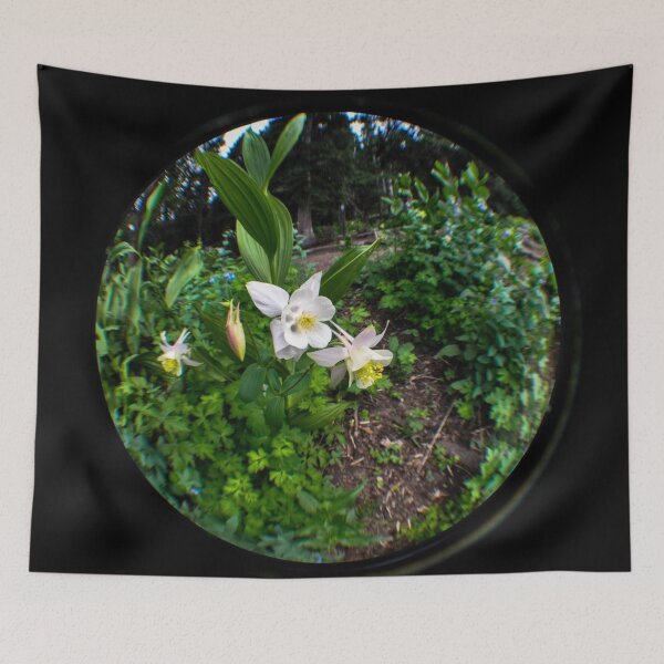 Item preview, Fisheye Wonderland designed and sold by MissJades.