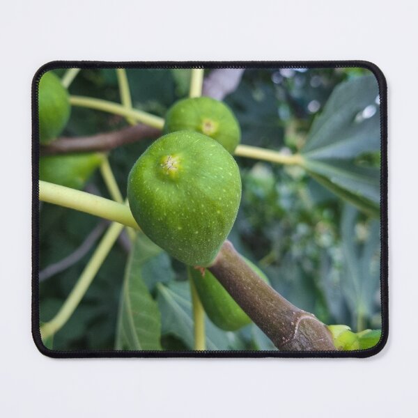 Item preview, Summer Green Fig Fruit designed and sold by Anastasia Kaneva.