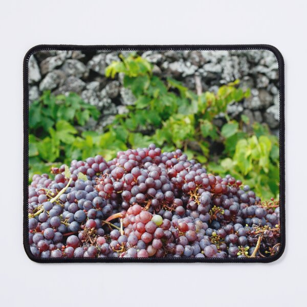 Item preview, Grape harvest designed and sold by Gaspar Avila.