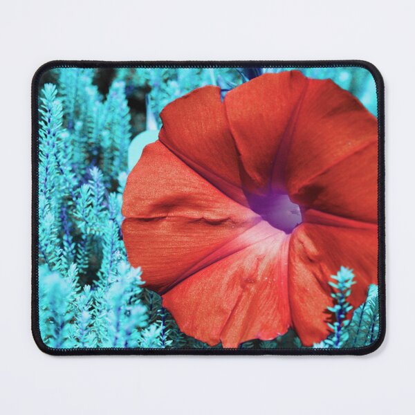 Item preview, Color edited Morning Glory designed and sold by Gaspar Avila.