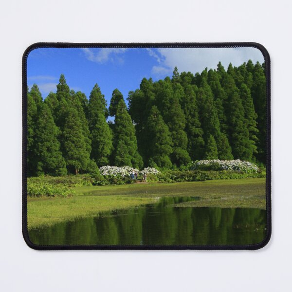 Item preview, Canario lake designed and sold by Gaspar Avila.