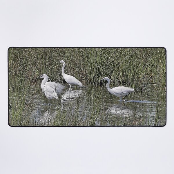 Item preview, r2446/ site ornithologique-du-teich - Aigrette garzette -  2018 par Okaio Créations - Olavia-Olao    designed and sold by o.okaïo.