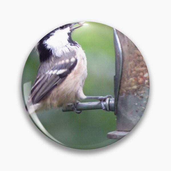 Item preview, Coal Tit designed and sold by KathleenDawson.