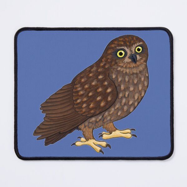 Item preview, Morepork New Zealand Owl designed and sold by Kererū Brewing.