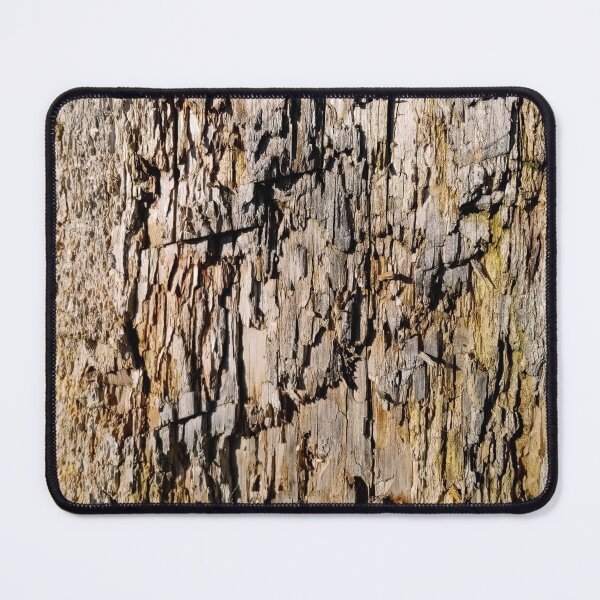 Item preview, Crackled wood texture designed and sold by Gaspar Avila.