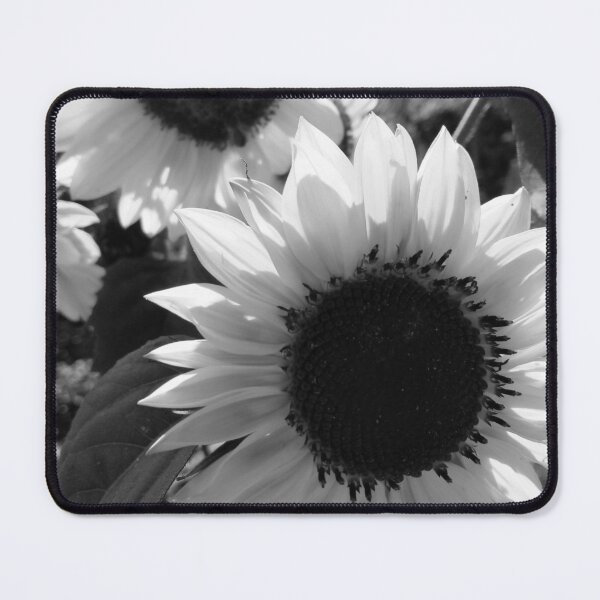 Item preview, Sunflowers designed and sold by Gaspar Avila.