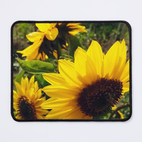 Item preview, Sunflowers designed and sold by Gaspar Avila.