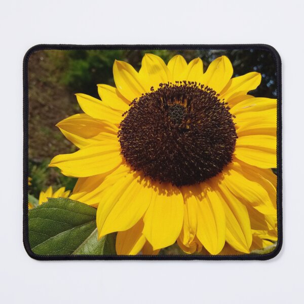 Item preview, Sunflowers designed and sold by Gaspar Avila.