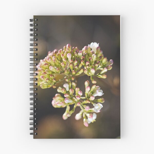 Item preview, Crabapple Tree Pink And White Buds  designed and sold by Joy Watson - Natural Light Photography .