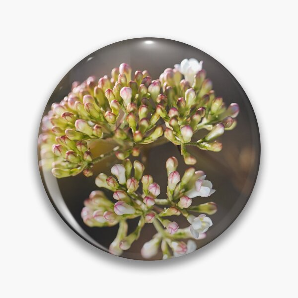 Item preview, Crabapple Tree Pink And White Buds  designed and sold by Joy Watson - Natural Light Photography .
