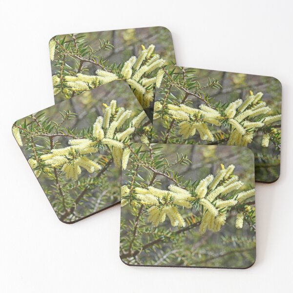 Item preview, Australian Wattle designed and sold by Doug Cliff.