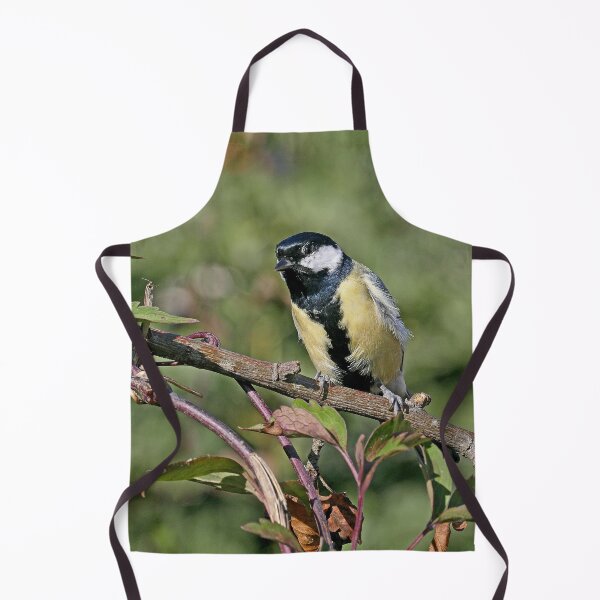Item preview, r1041 / New Finition 2021 -- Mésange - (c)(t) Olavia-Olao Okaio Créations designed and sold by o.okaïo.