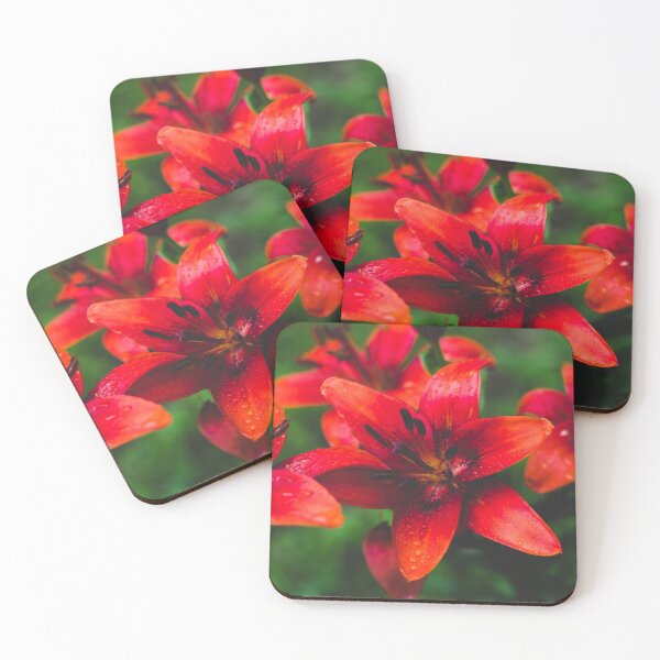 Item preview, Red Asiatic Lilies designed and sold by PaulinaChmiel.
