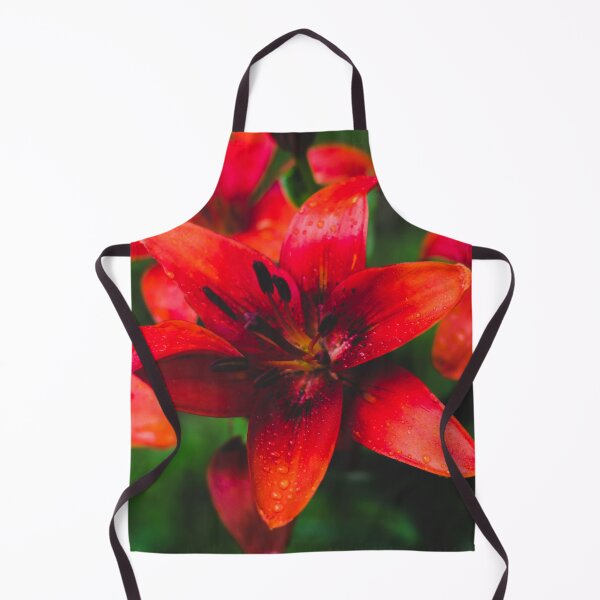 Item preview, Red Asiatic Lilies designed and sold by PaulinaChmiel.