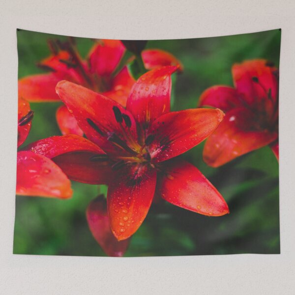 Item preview, Red Asiatic Lilies designed and sold by PaulinaChmiel.