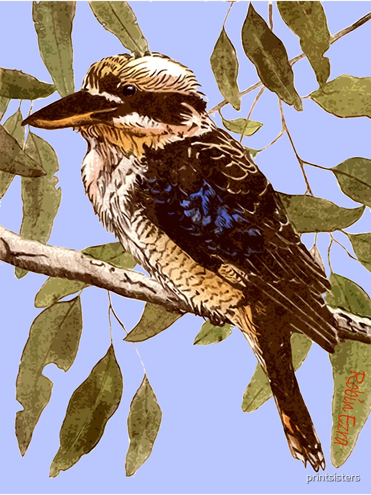 "Kookaburra" Sticker for Sale by printsisters Redbubble