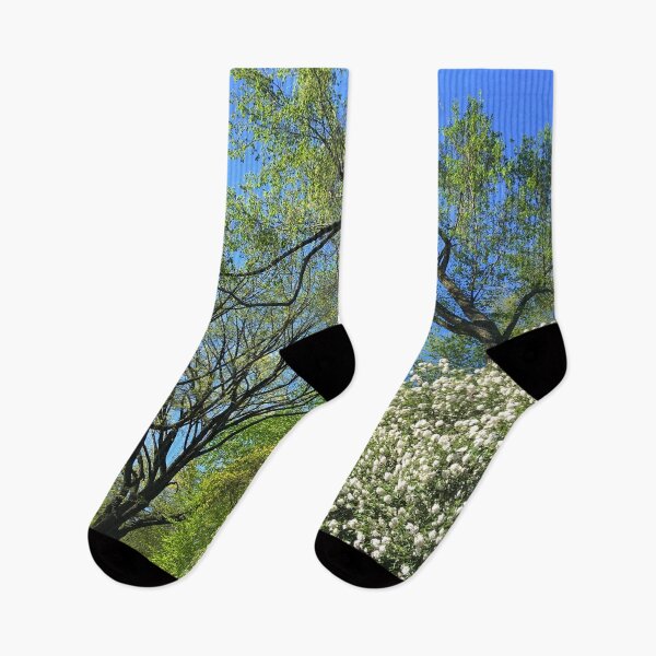 Item preview, Central Park Nature designed and sold by HappyClover.