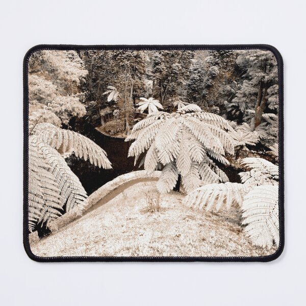 Item preview, Tree ferns designed and sold by Gaspar Avila.