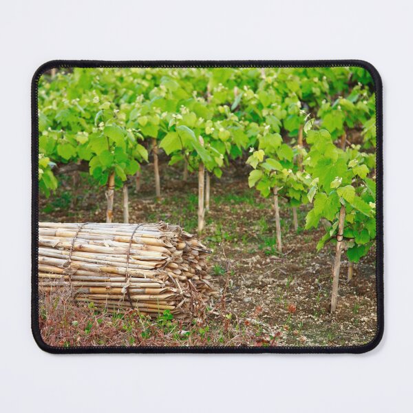 Item preview, Grape vines designed and sold by Gaspar Avila.