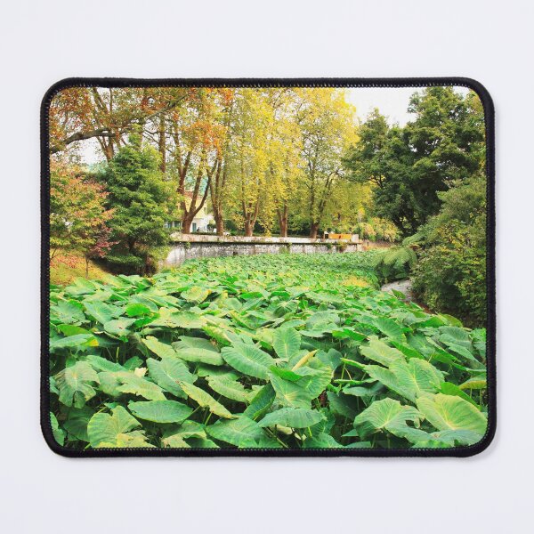 Item preview, Taro field designed and sold by Gaspar Avila.