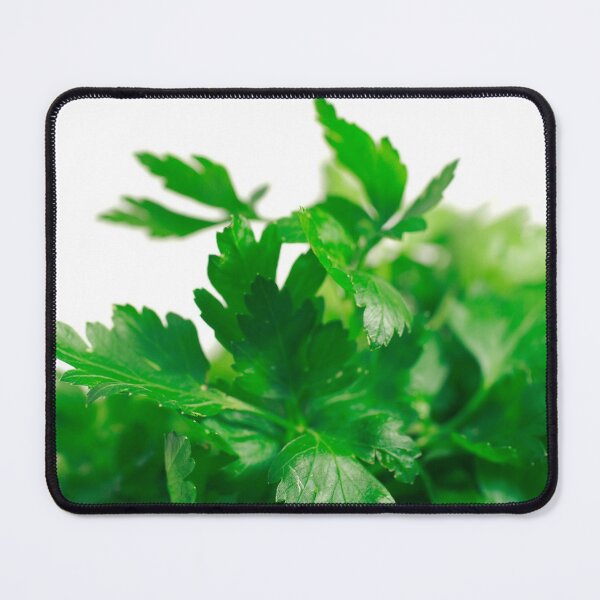 Item preview, Parsley designed and sold by Gaspar Avila.