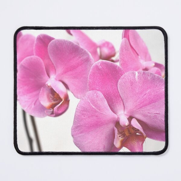 Item preview, Orchid flowers designed and sold by Gaspar Avila.
