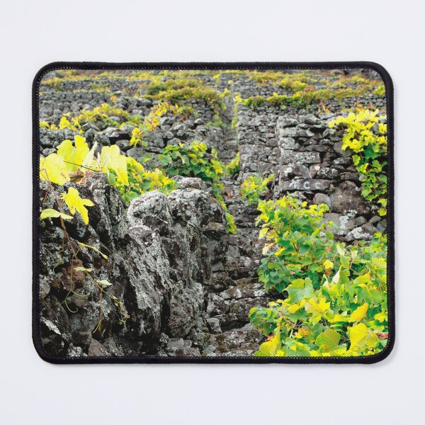 Item preview, Vineyards in Azores islands designed and sold by Gaspar Avila.